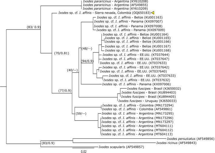 Fig. 2