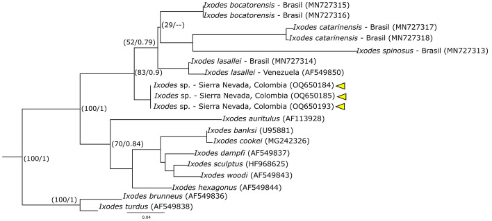 Fig. 4