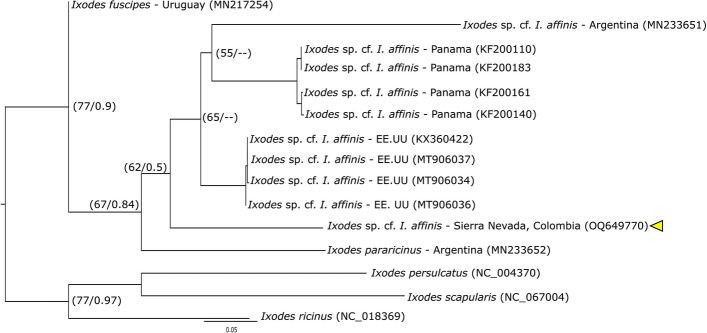 Fig. 3