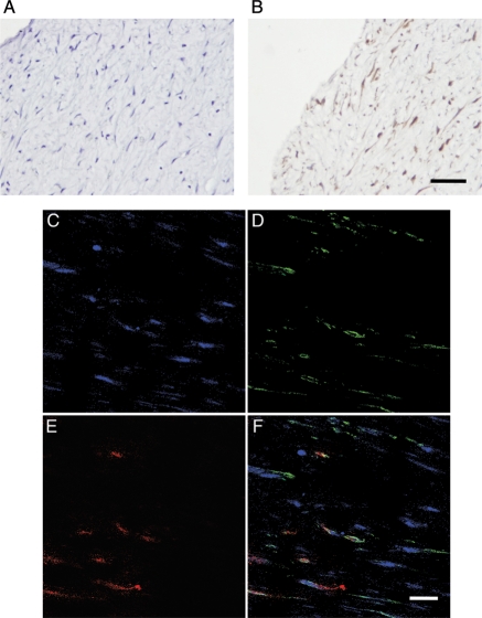 Figure 6