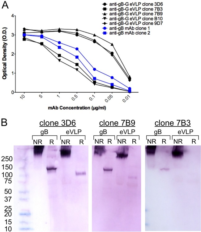 FIG 3