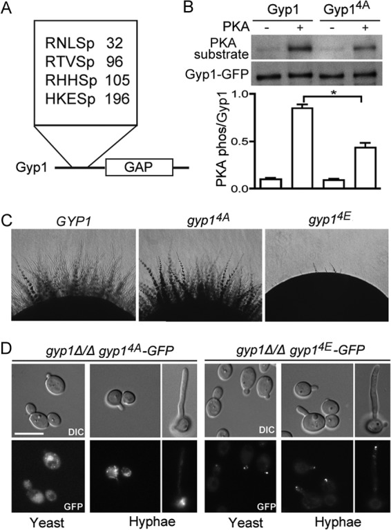 FIG 4