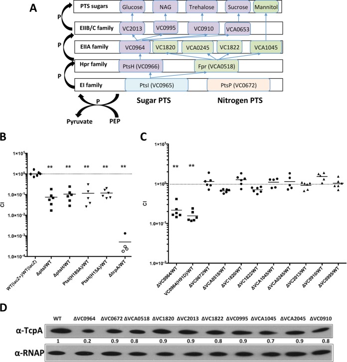 FIG 3