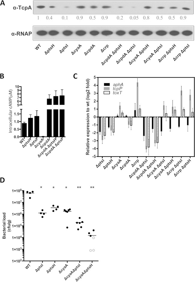 FIG 6