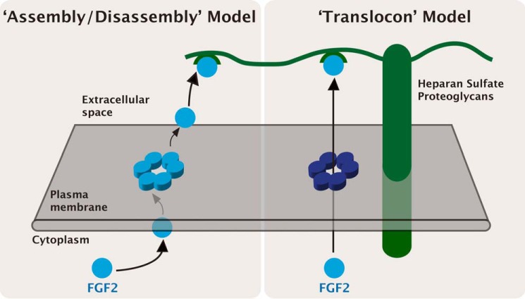 FIGURE 2.