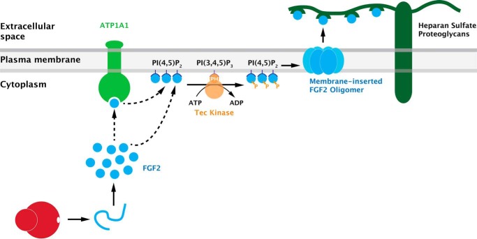 FIGURE 1.