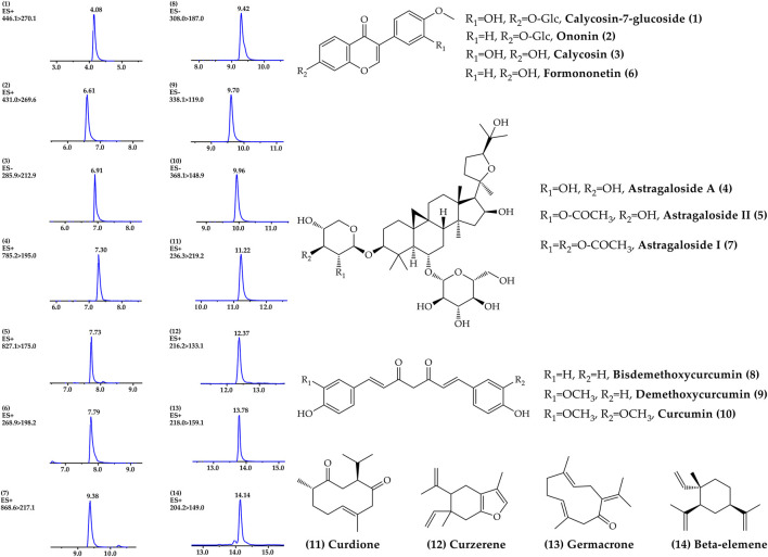 FIGURE 1