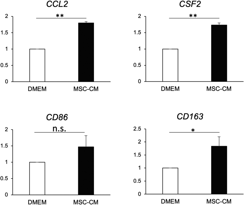 Figure 3