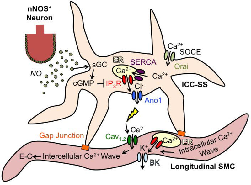 Fig. 20: