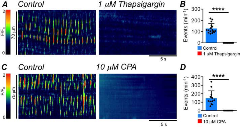 Fig. 7: