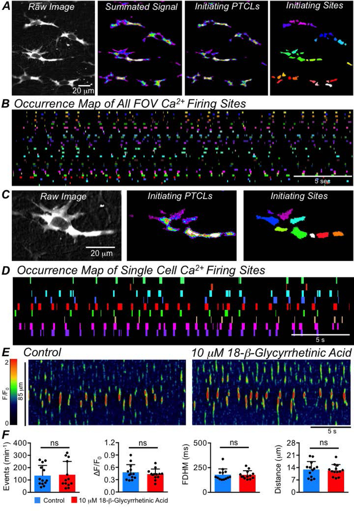 Fig. 6: