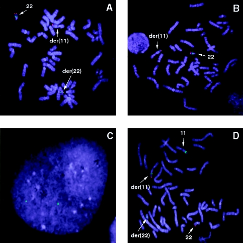 Figure  2