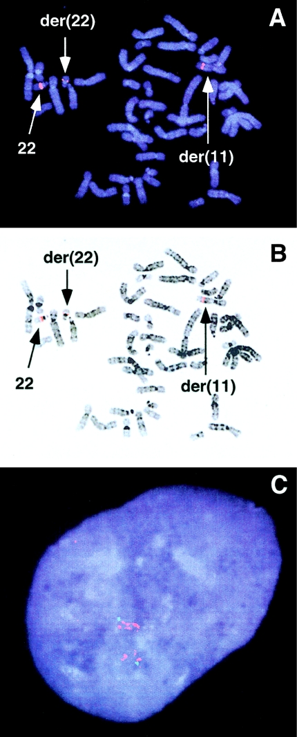 Figure  3