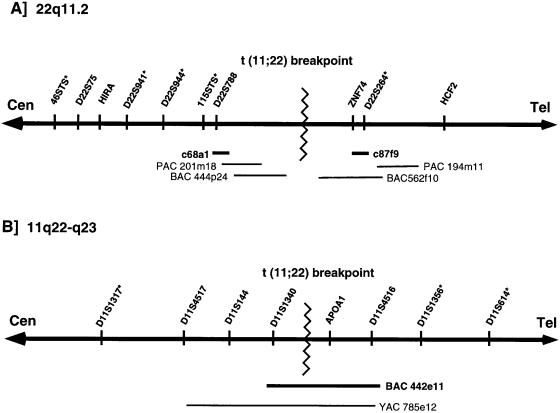 Figure  1