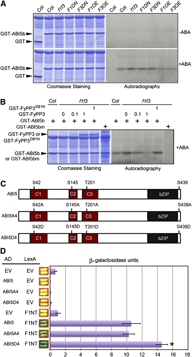 Figure 4.