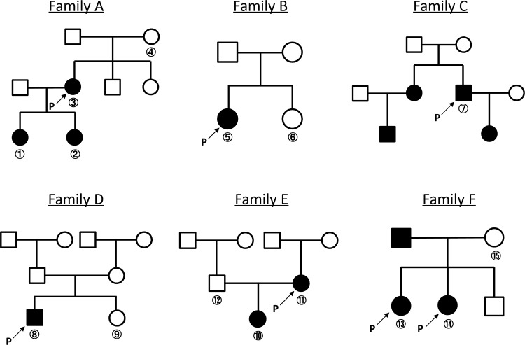 Fig 1