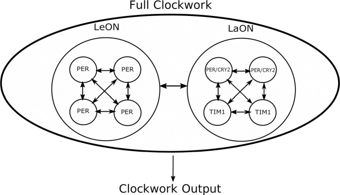 Fig 12