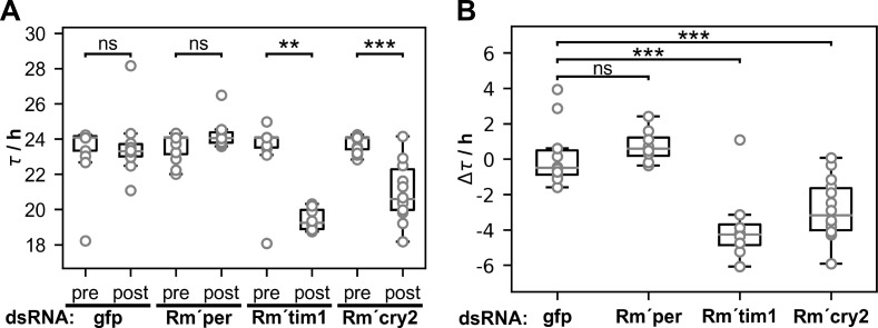 Fig 7