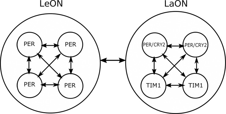 Fig 11