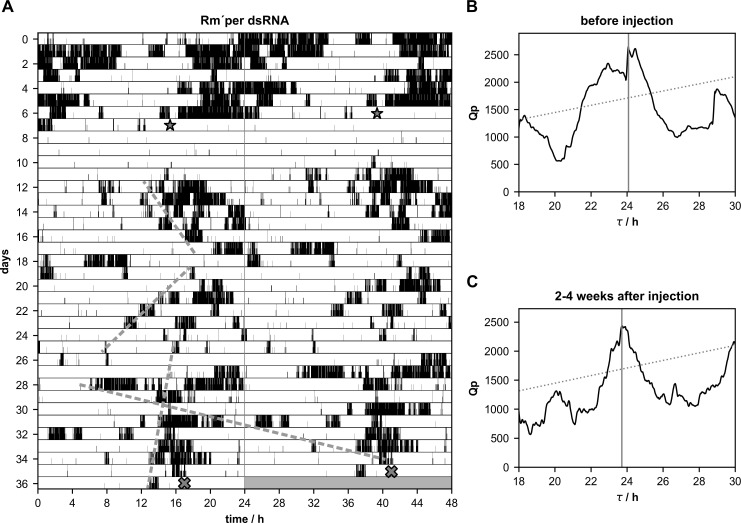 Fig 4