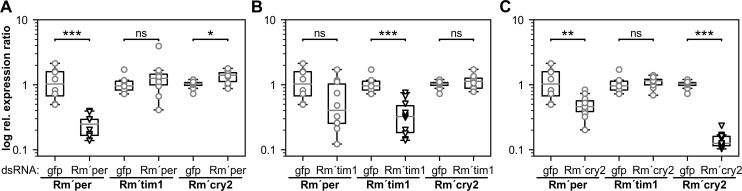 Fig 8