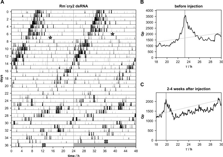 Fig 6