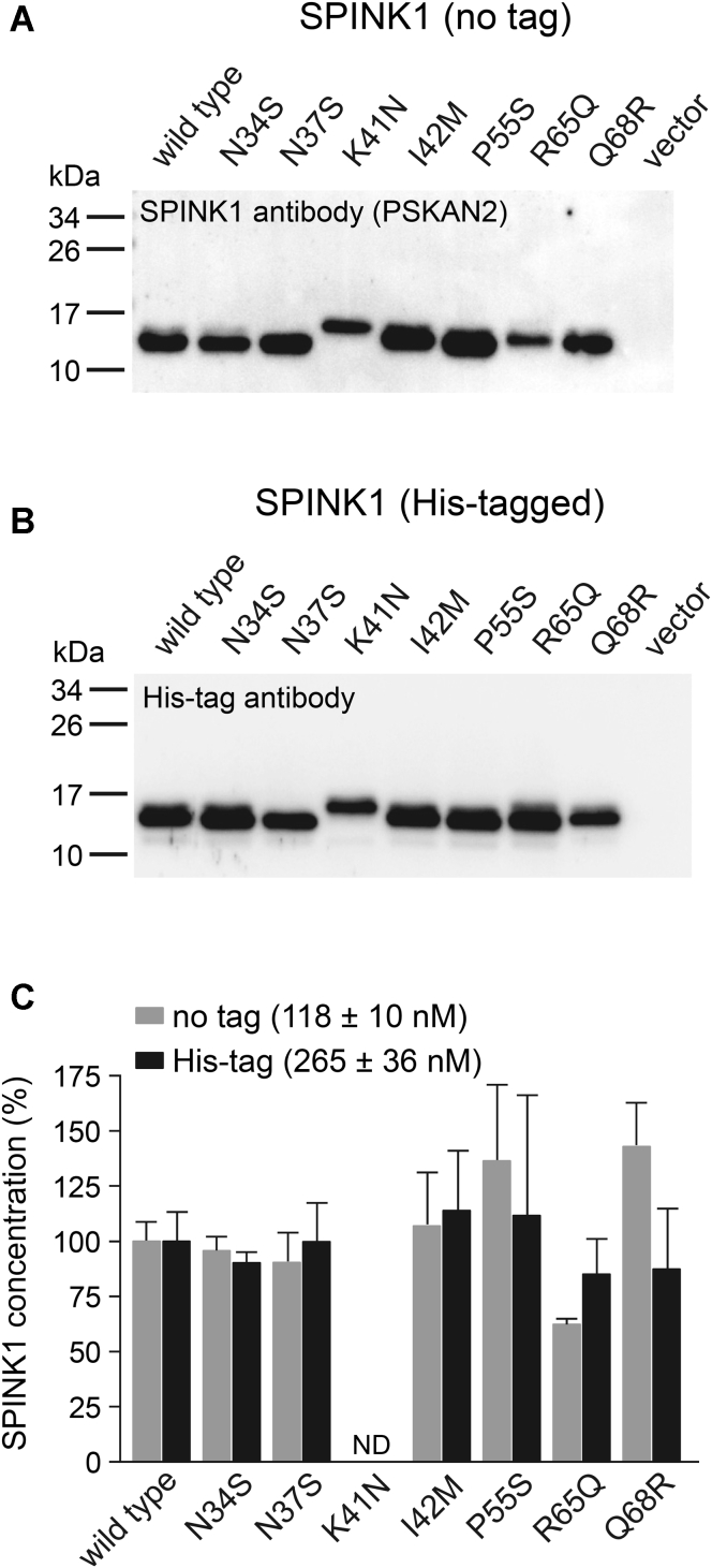 Figure 2