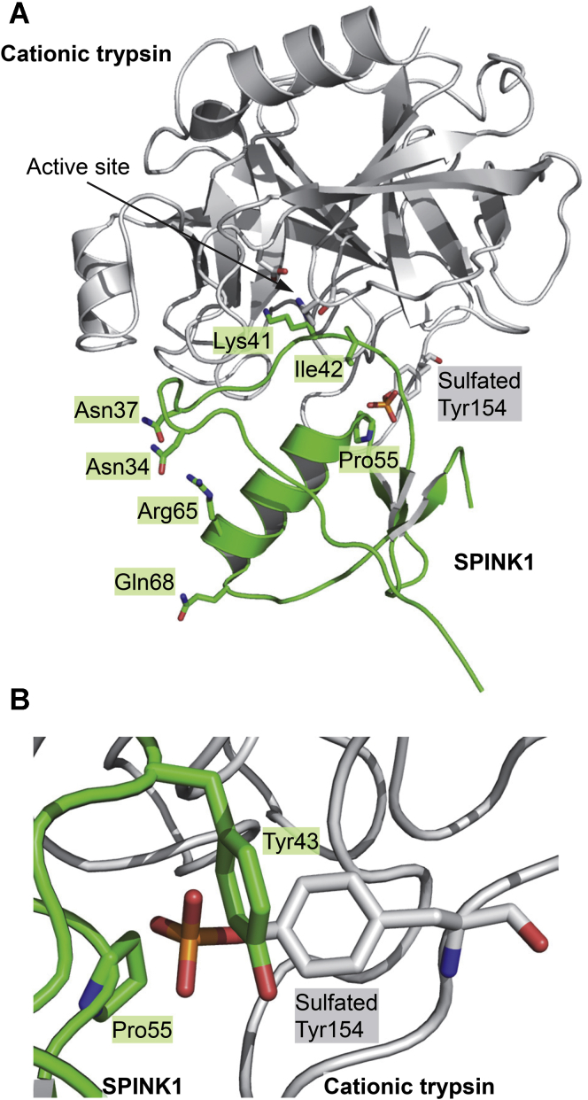 Figure 3