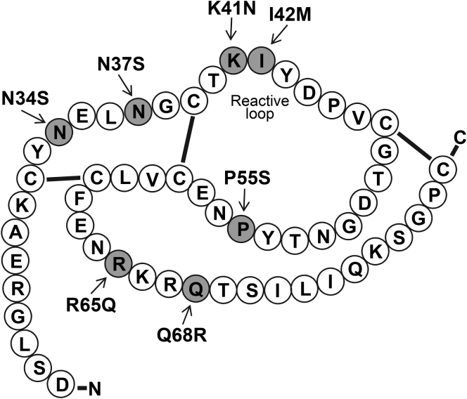 Figure 1