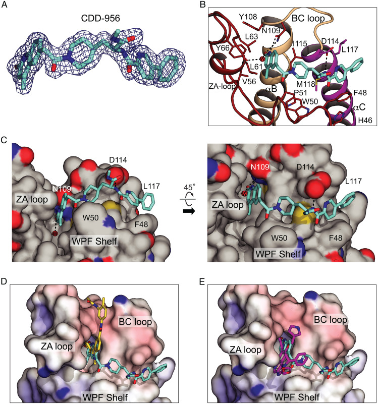 Fig. 4.