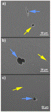 Figure 4 -