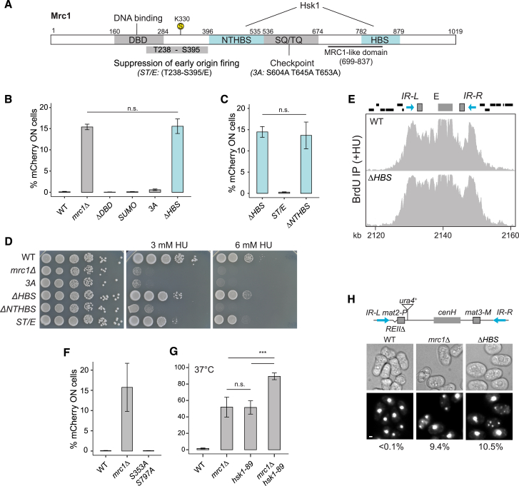 Figure 2