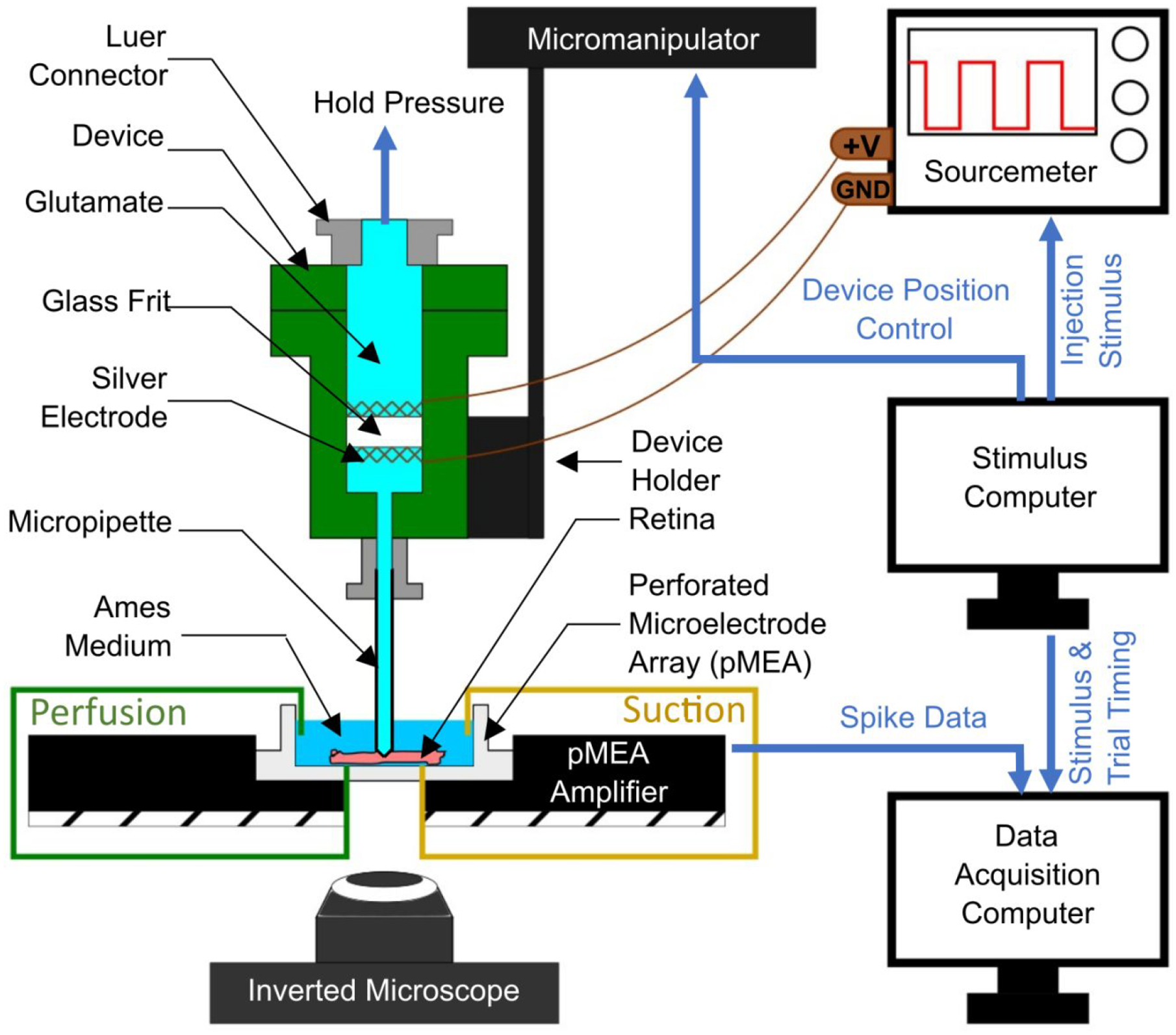 Figure 4: