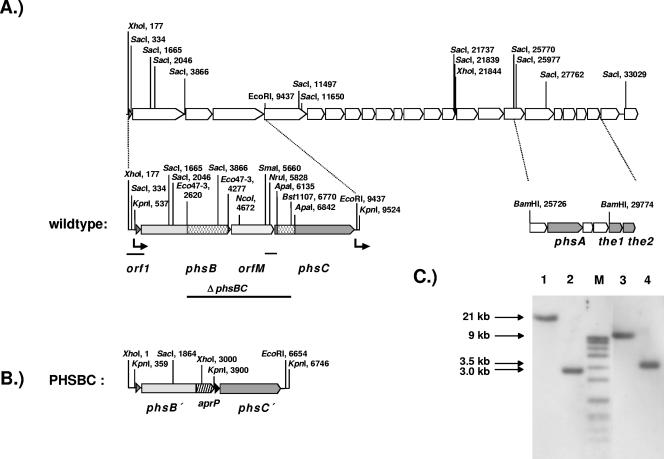 FIG. 2.