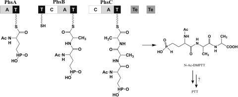 FIG. 5.