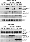 FIG. 9.