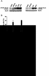 FIG. 8.