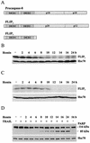 FIG. 5.