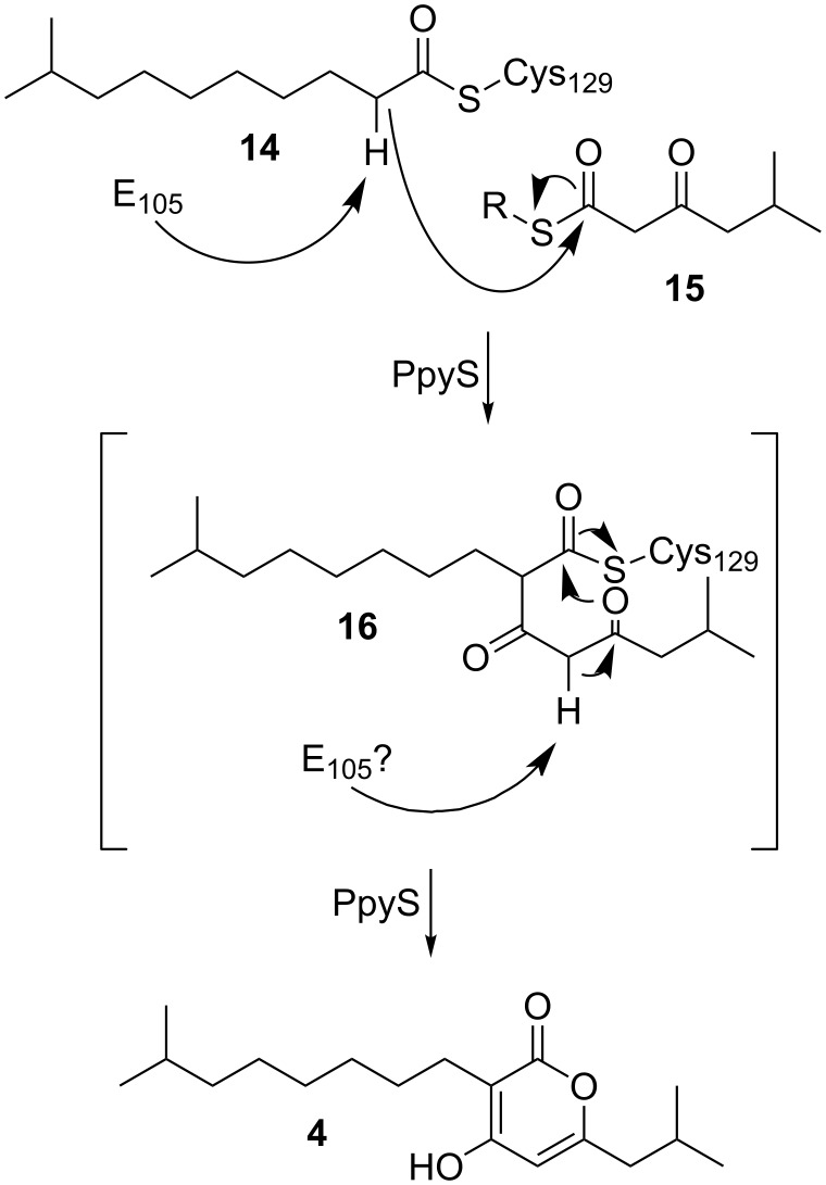 Scheme 1