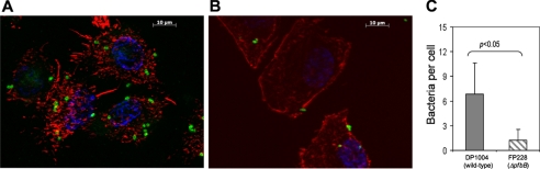 FIGURE 4.