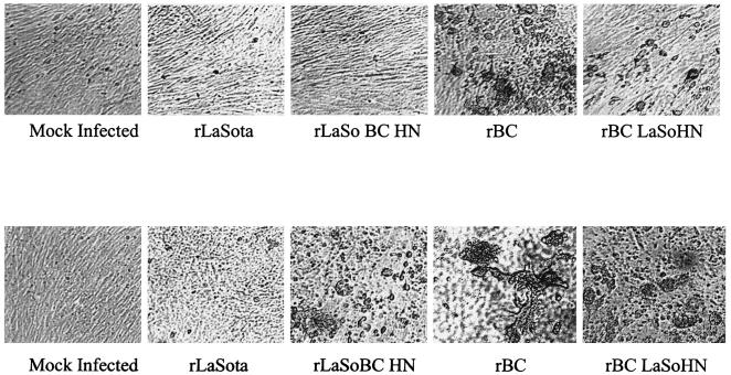 FIG. 4.