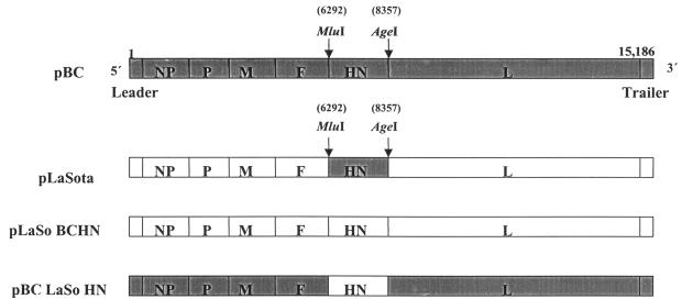 FIG. 1.