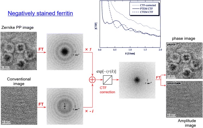 Fig. 2