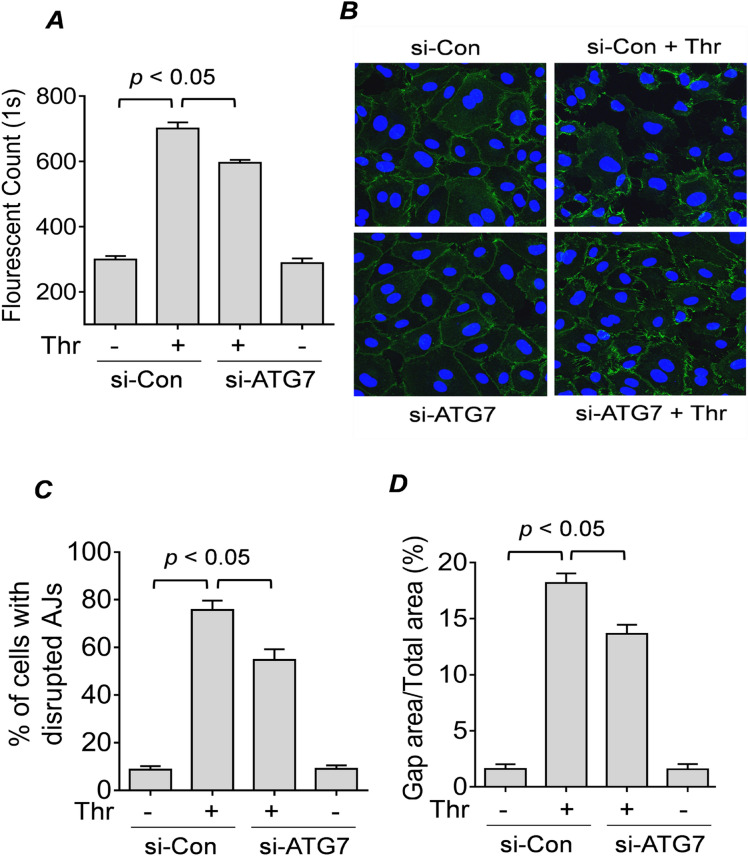 Figure 5 