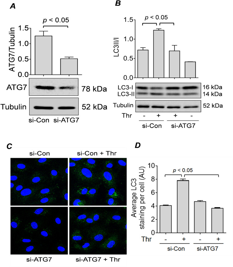 Figure 1 