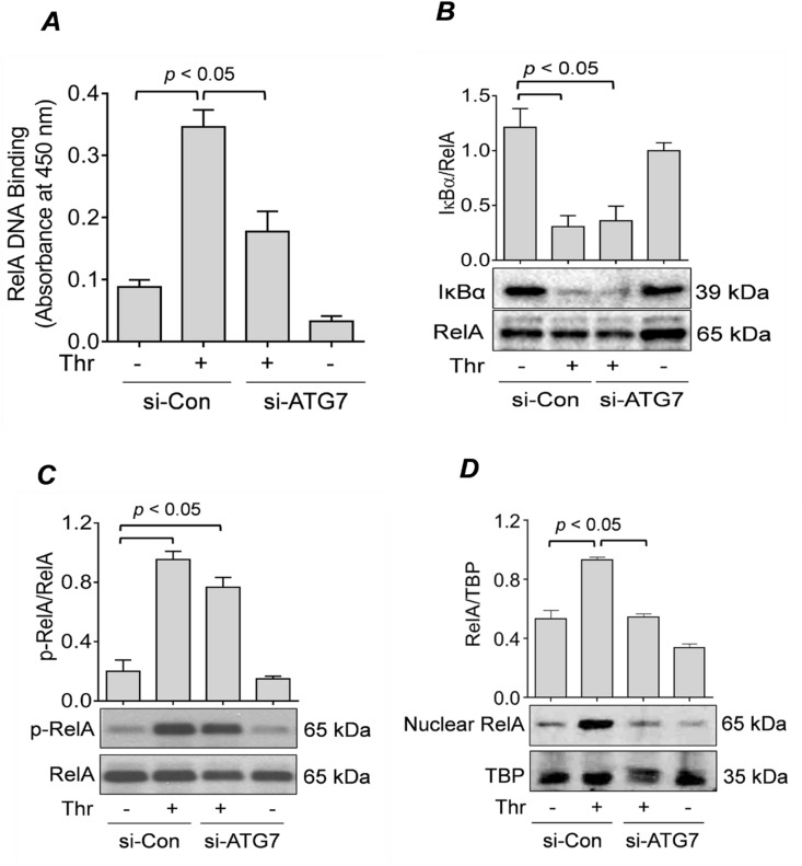 Figure 3 