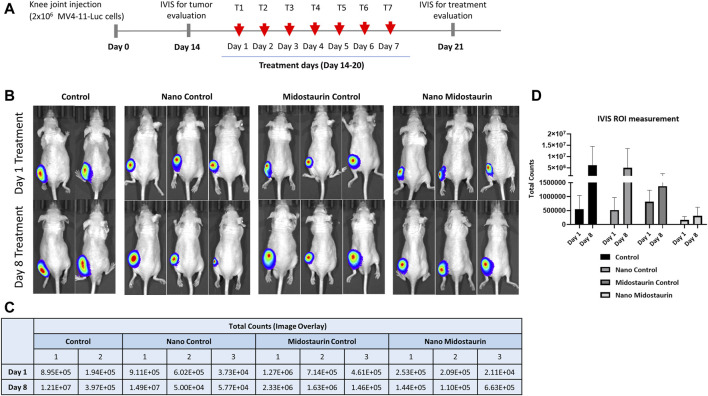 FIGURE 4