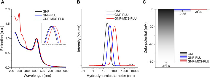 FIGURE 1