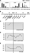 FIG. 7.