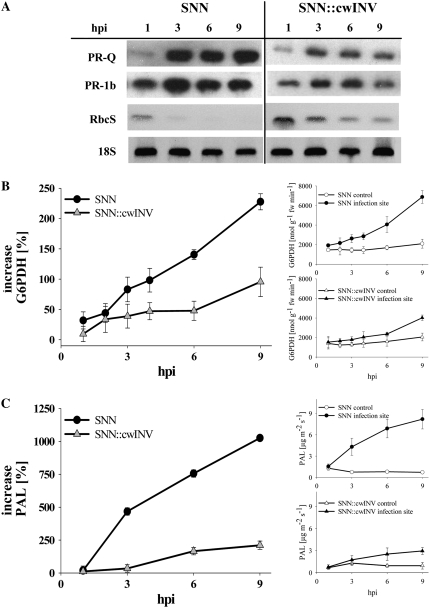 Figure 4.